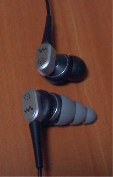 ��͏����i